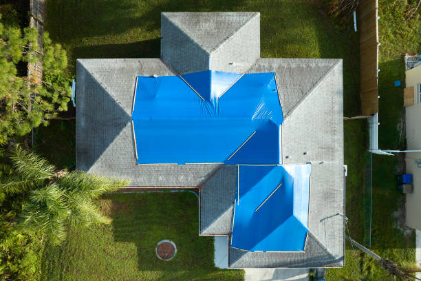Best Storm Damage Roof Repair  in De Pue, IL